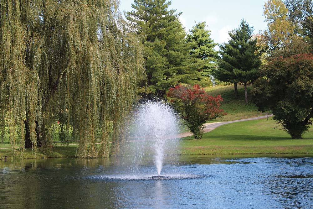 Kasco Standard Pattern Birch Fountain